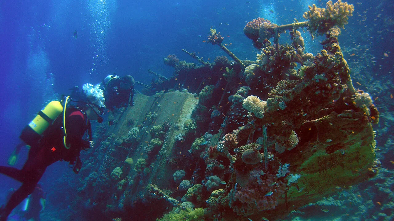 Reef Wrecks