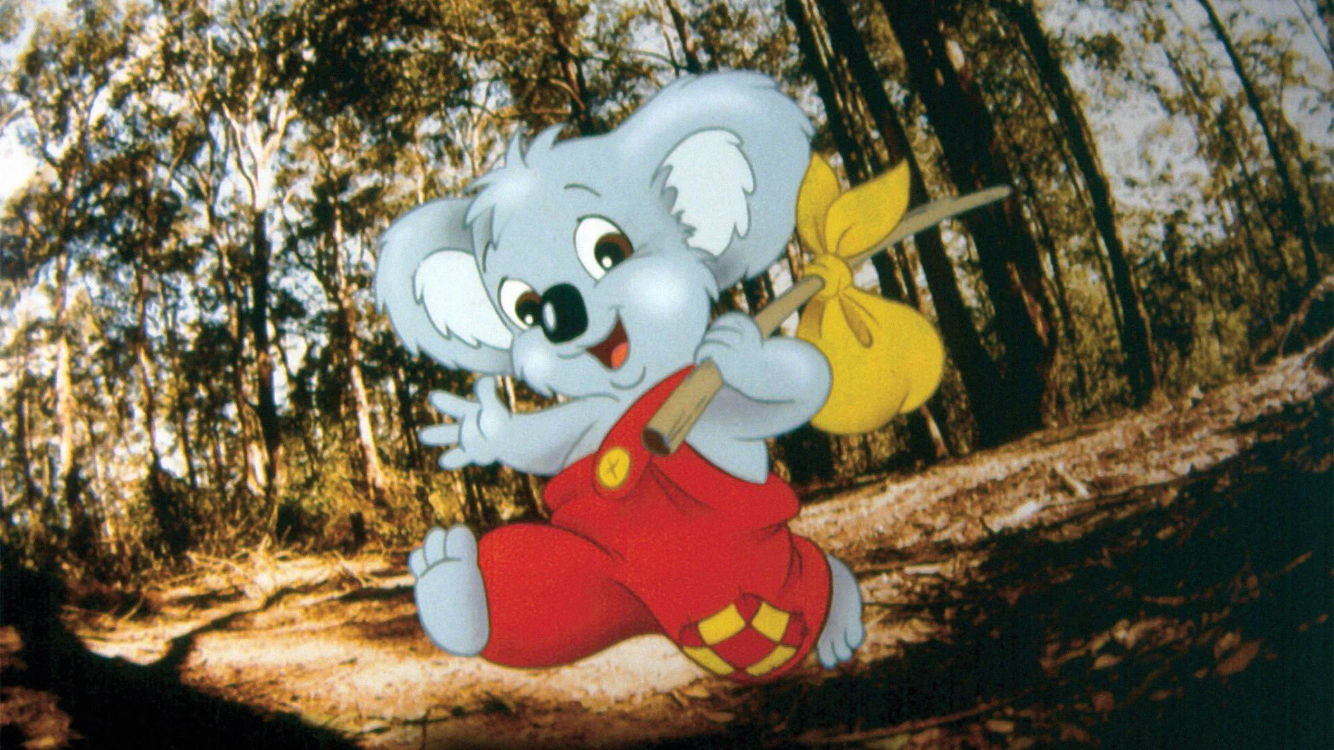 The Adventures of Blinky Bill