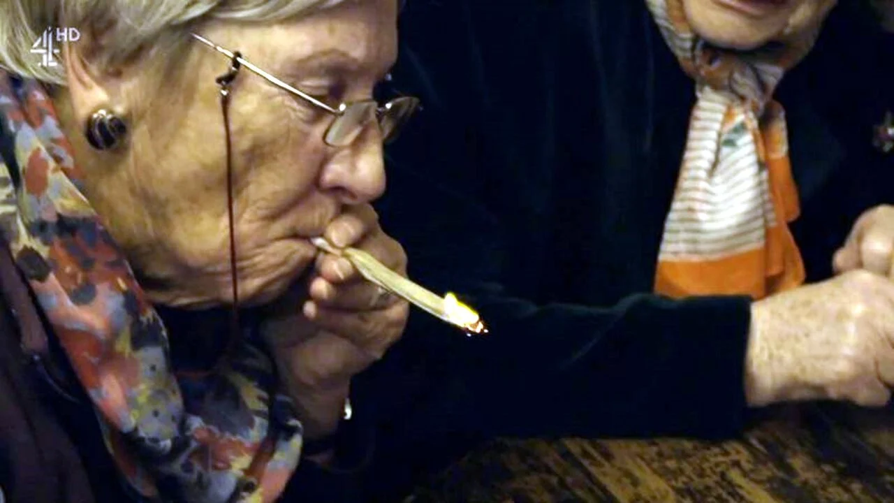 A Granny's Guide to the Modern World