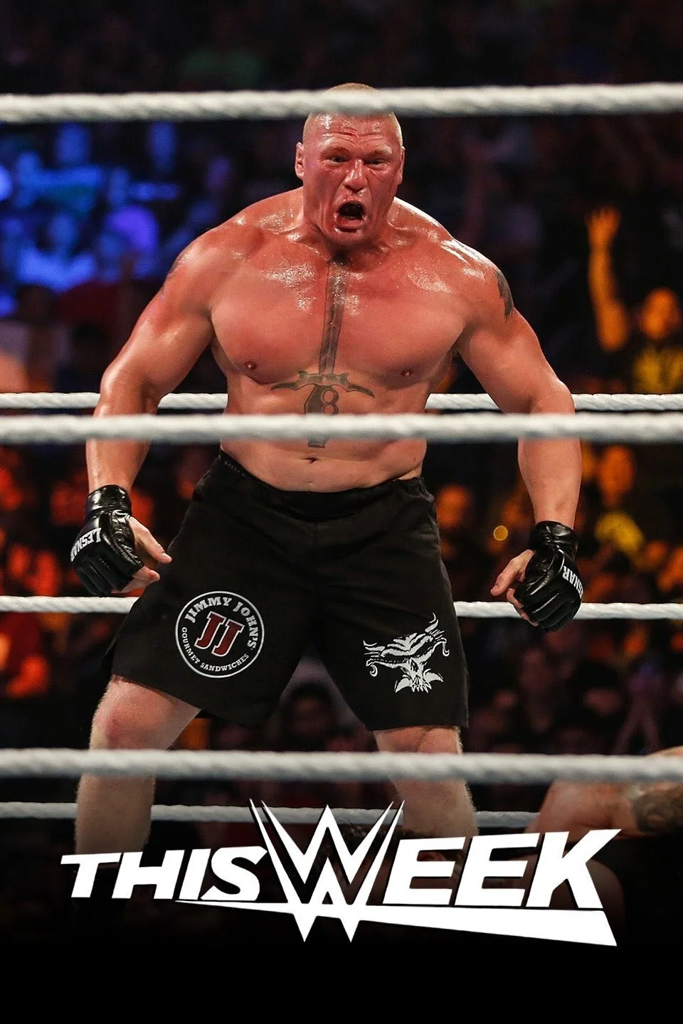 This Week in WWE Poster