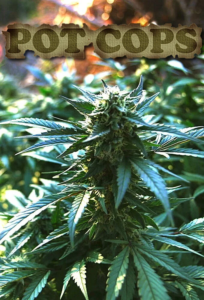 Pot Cops Poster