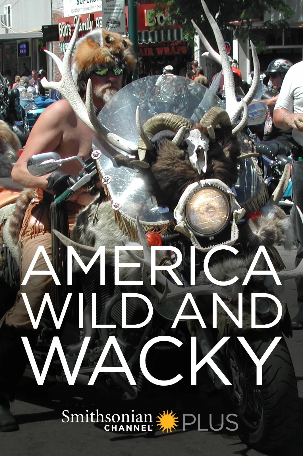 America: Wild & Wacky Poster