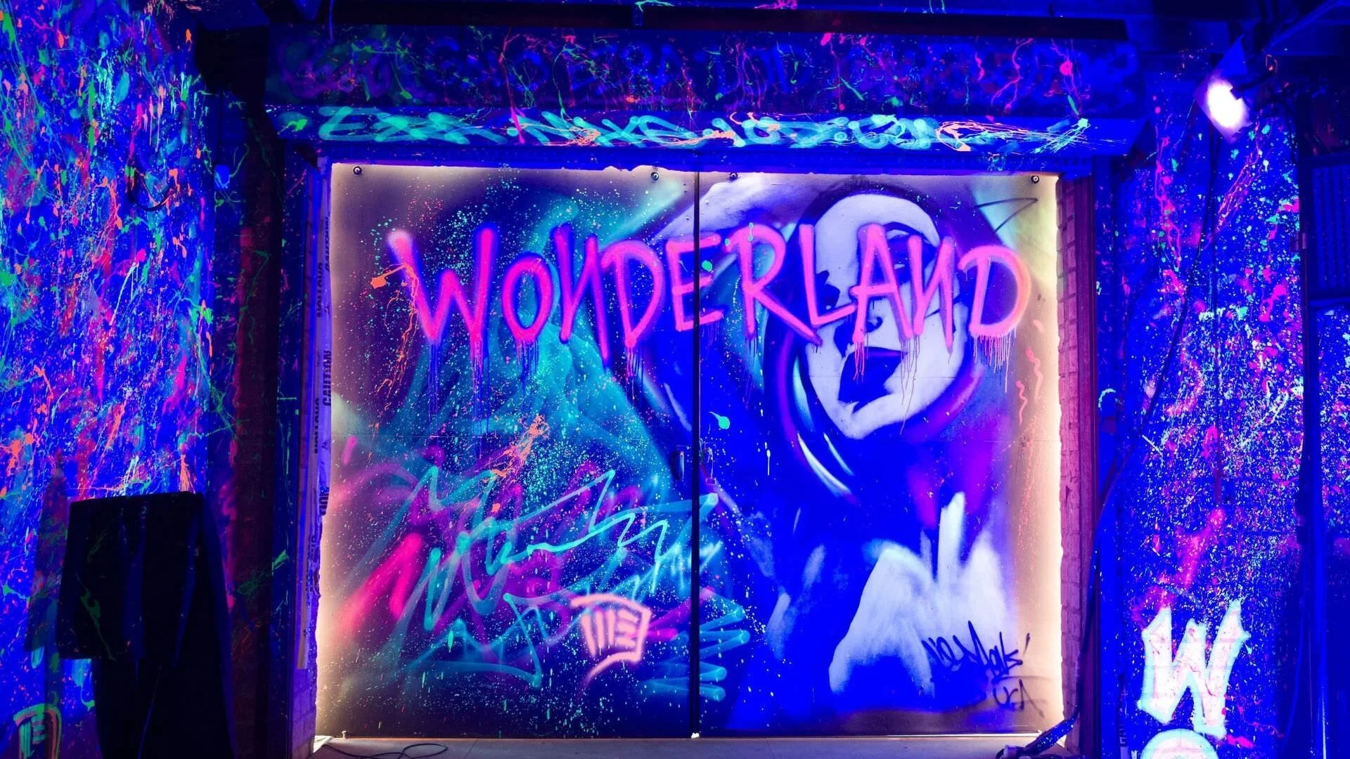 MTV Wonderland
