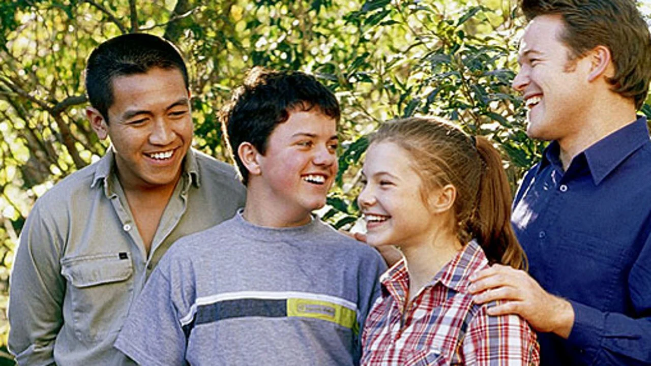 Don't Blame the Koalas