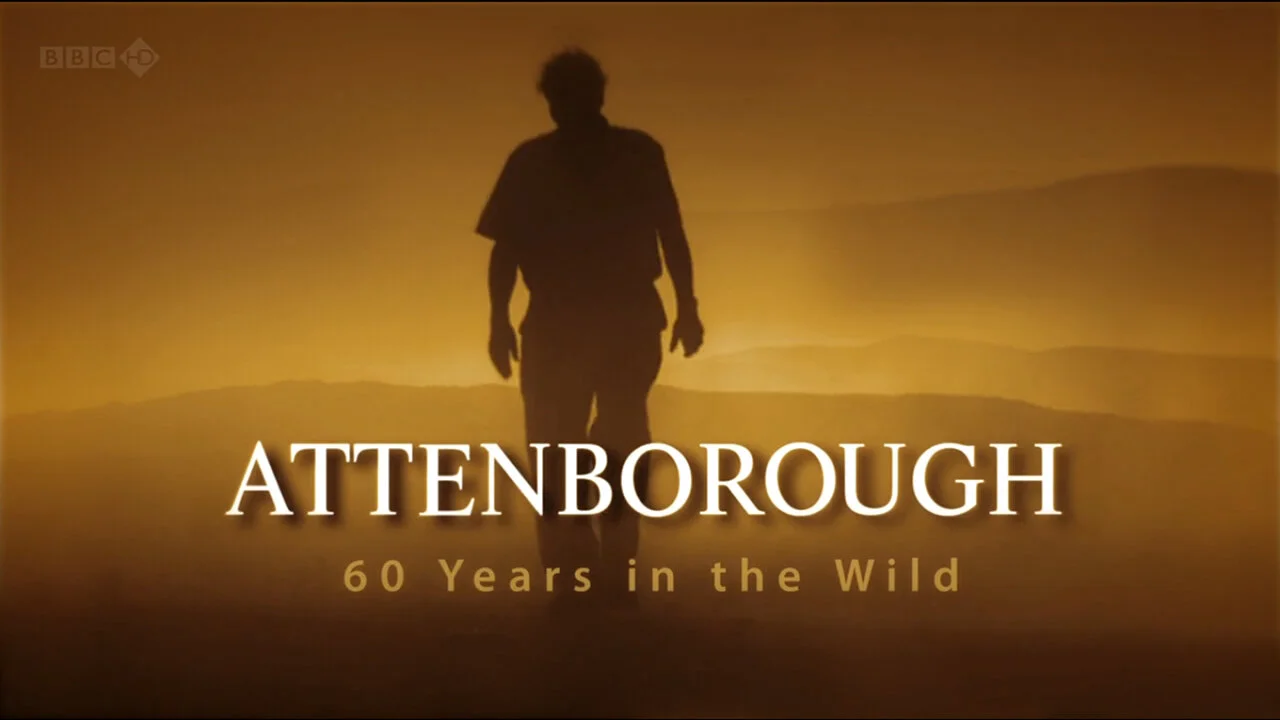 Attenborough: 60 Years in the Wild