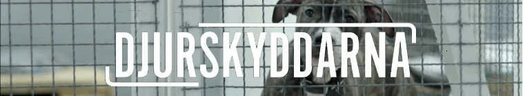 Galeria 1