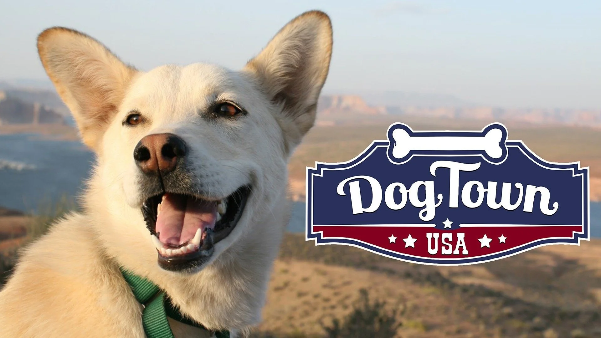 Dog Town, USA