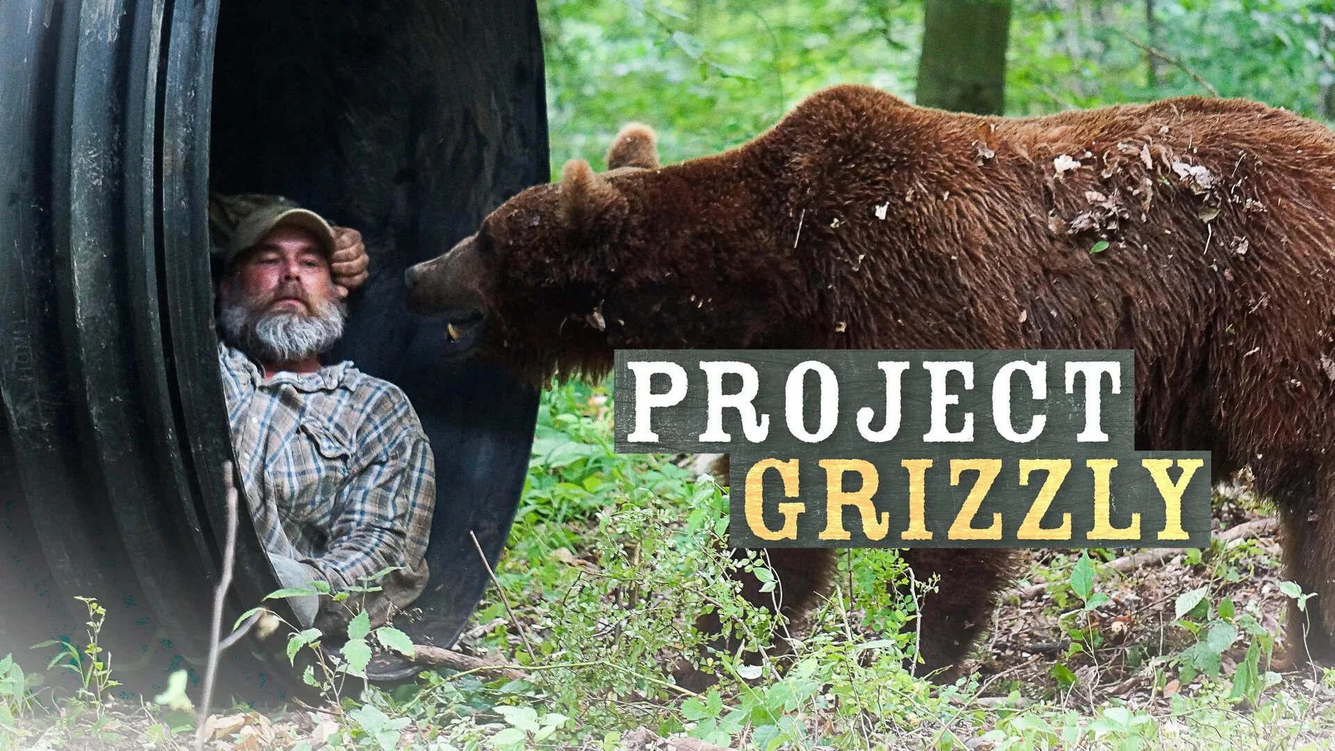 Project Grizzly