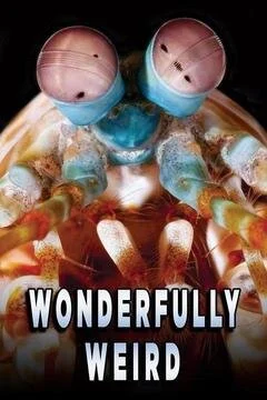 Póster de Wonderfully Weird