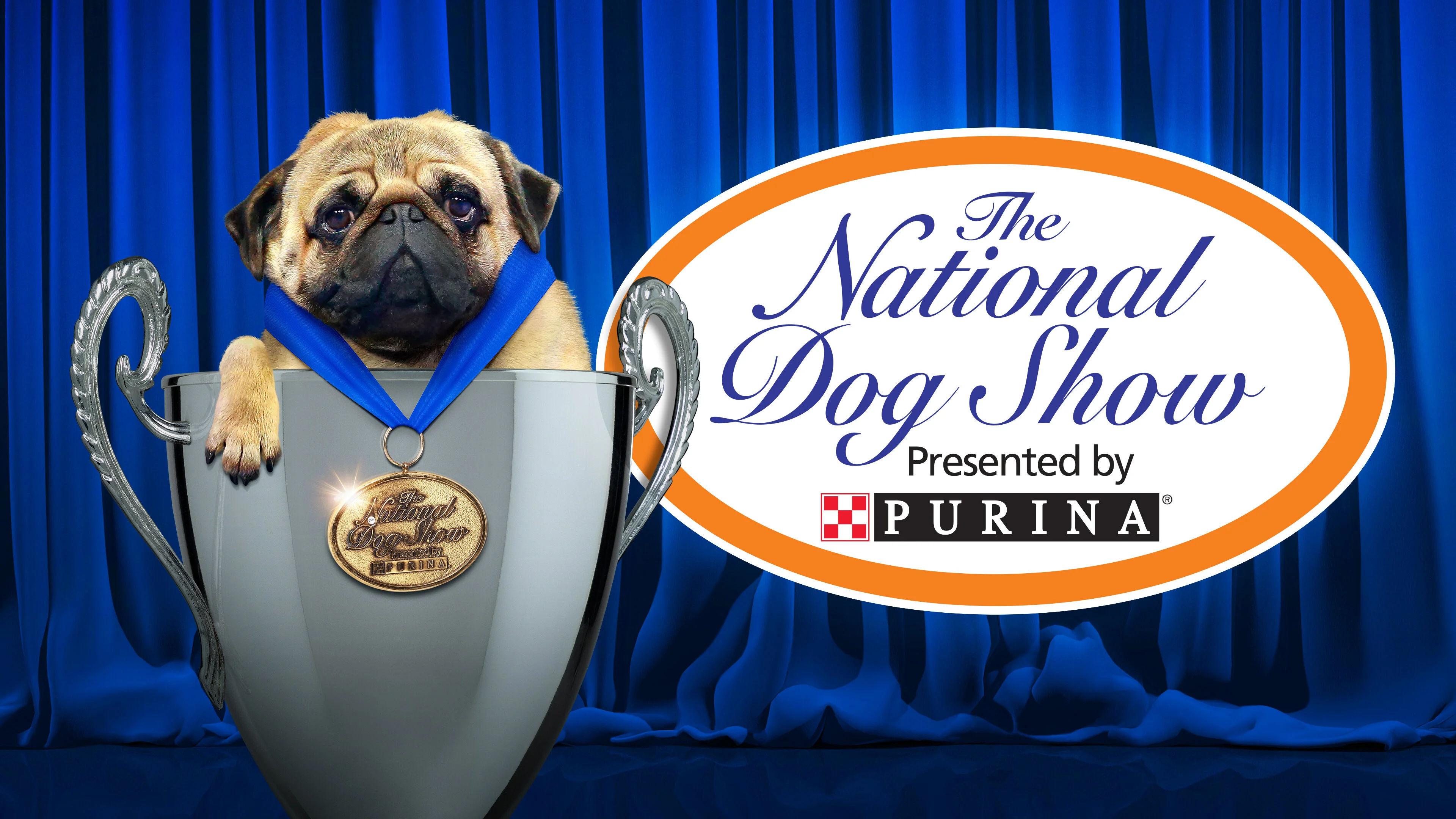 The National Dog Show