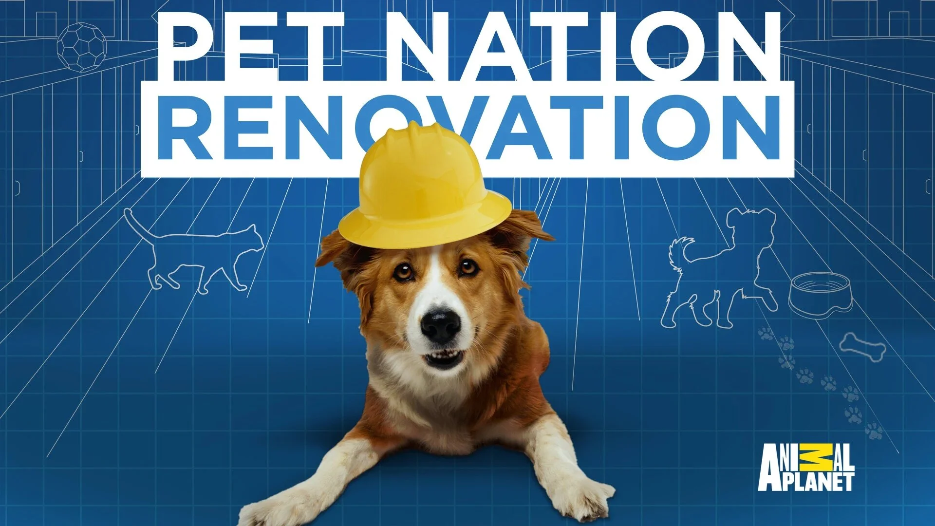 Pet Nation Renovation