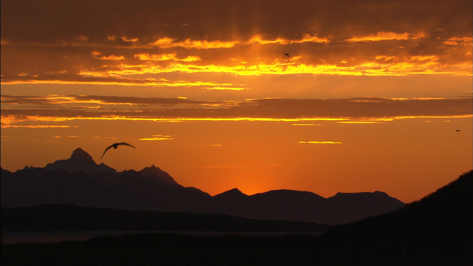 Sunrise Earth