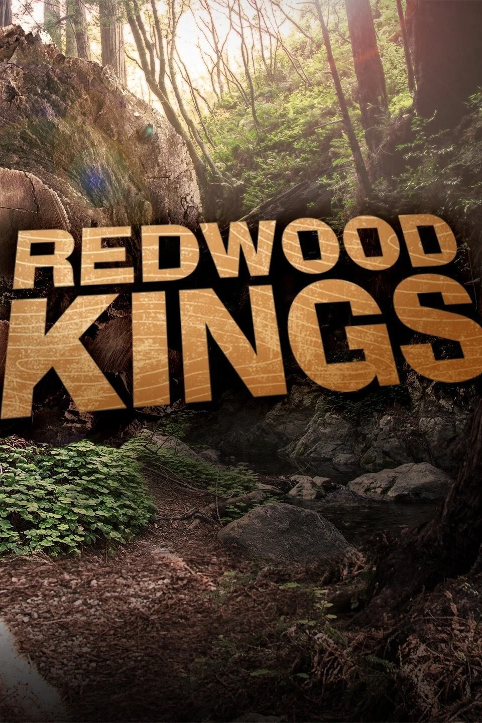 Redwood Kings poster