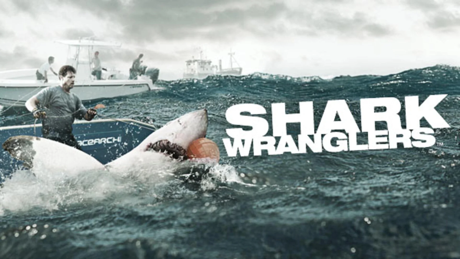 Shark Wranglers