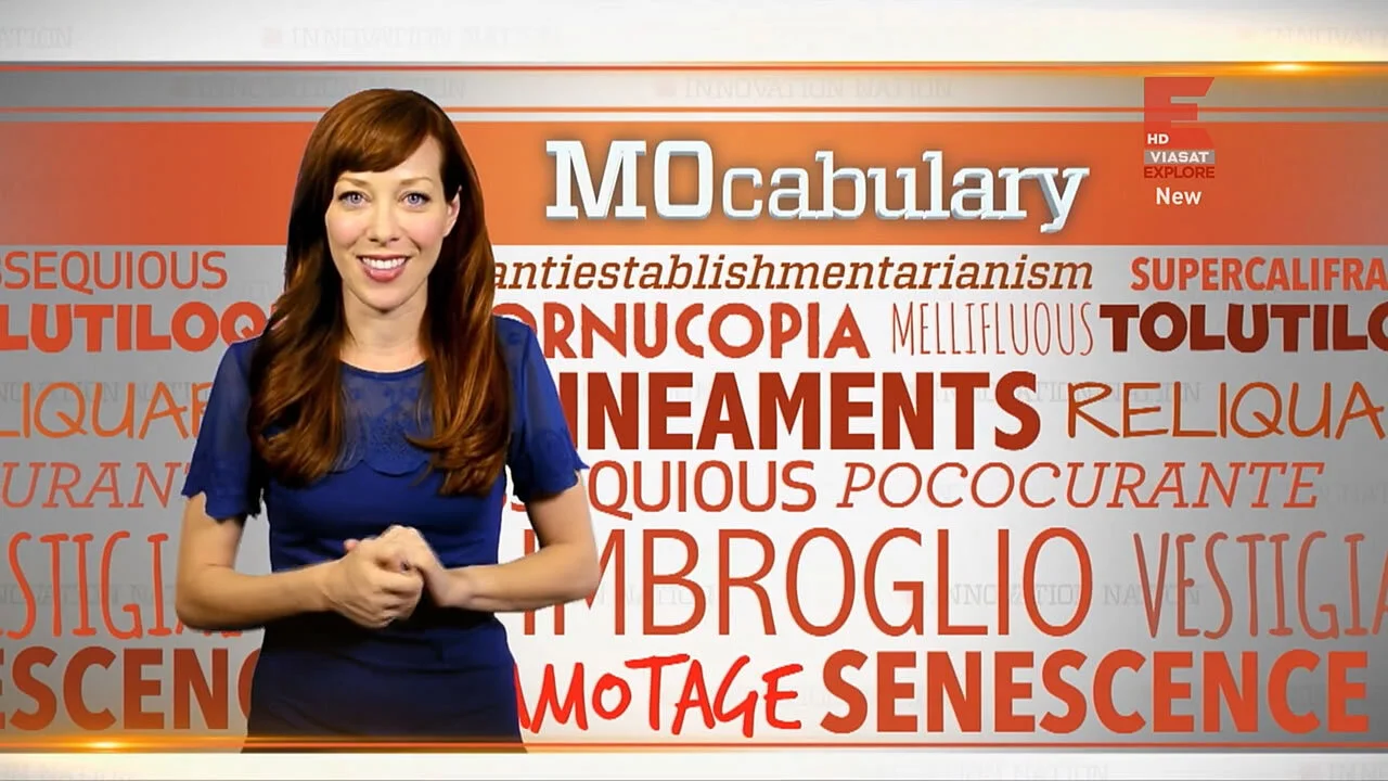 The Henry Ford's Innovation Nation