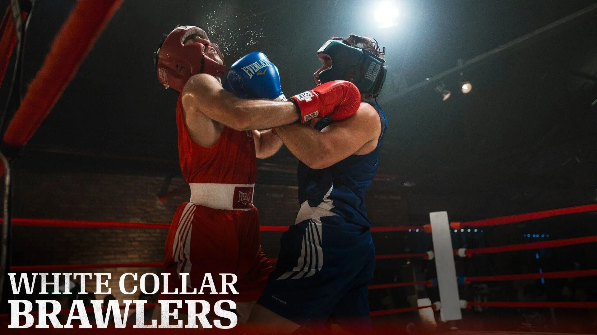 White Collar Brawlers
