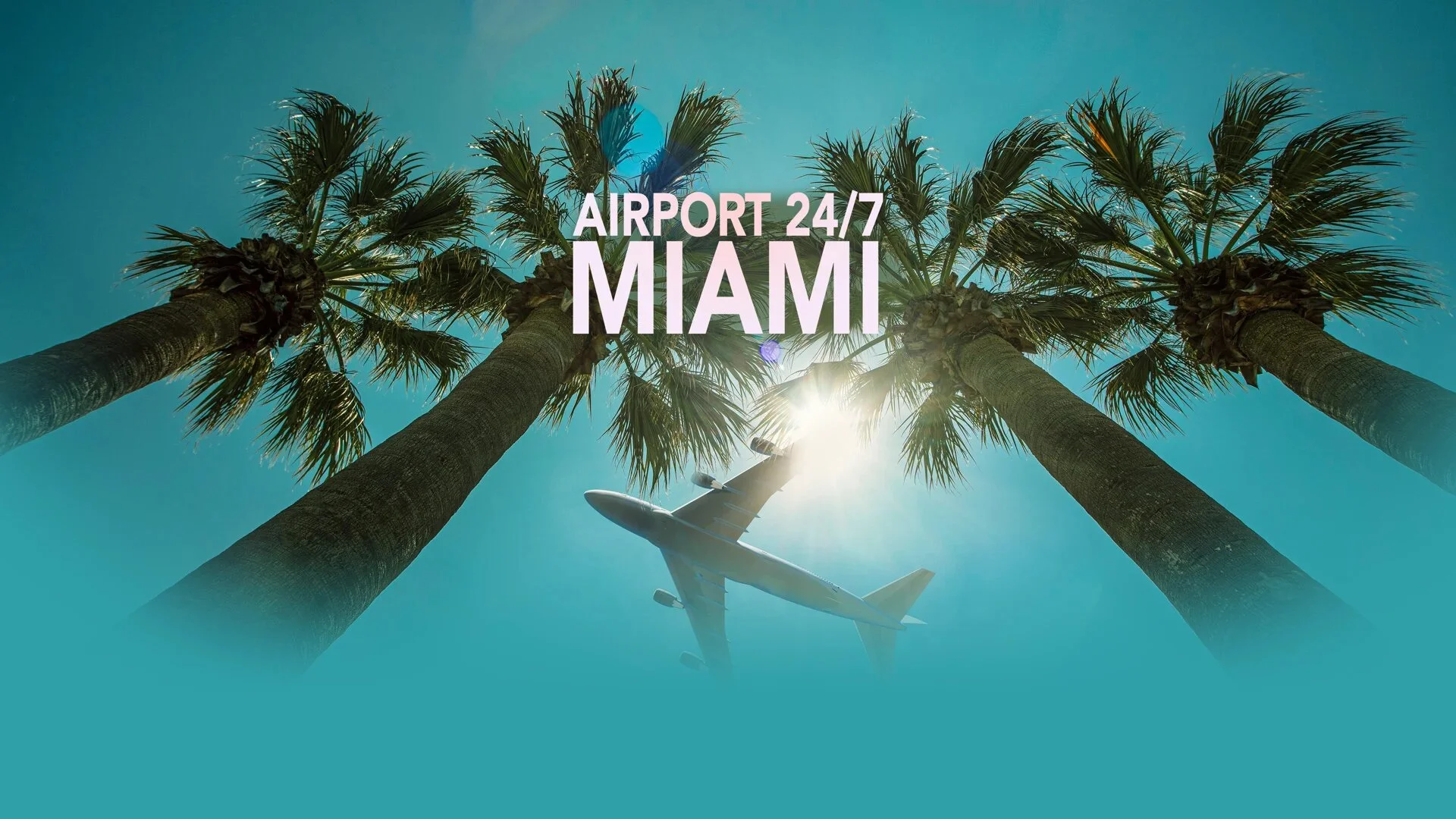 Airport 24/7: Miami