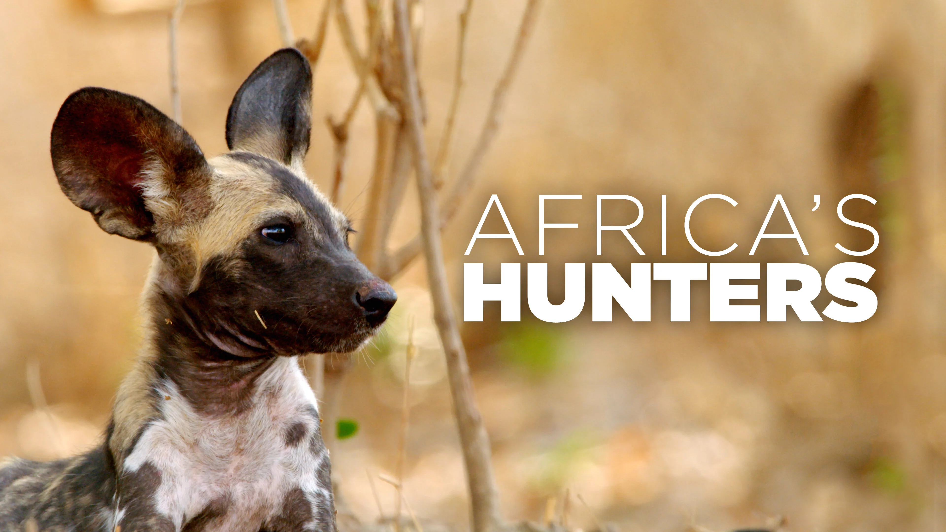 Africa's Hunters