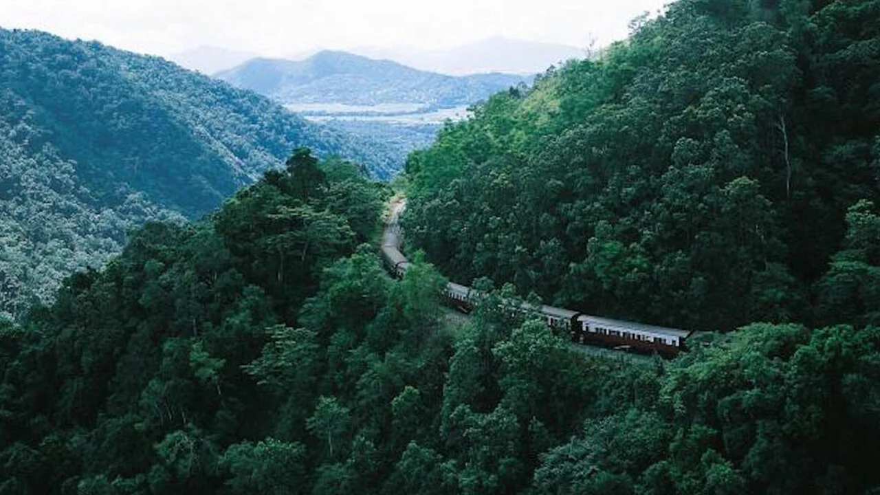 Making Tracks