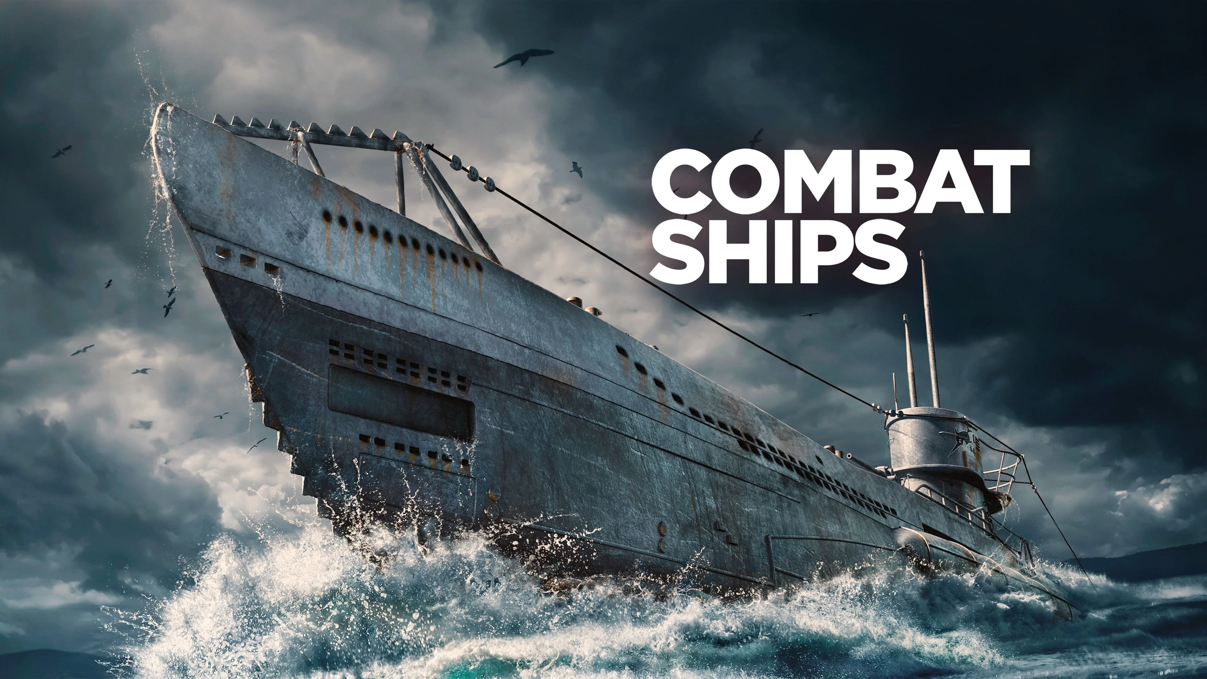 Combat Ships