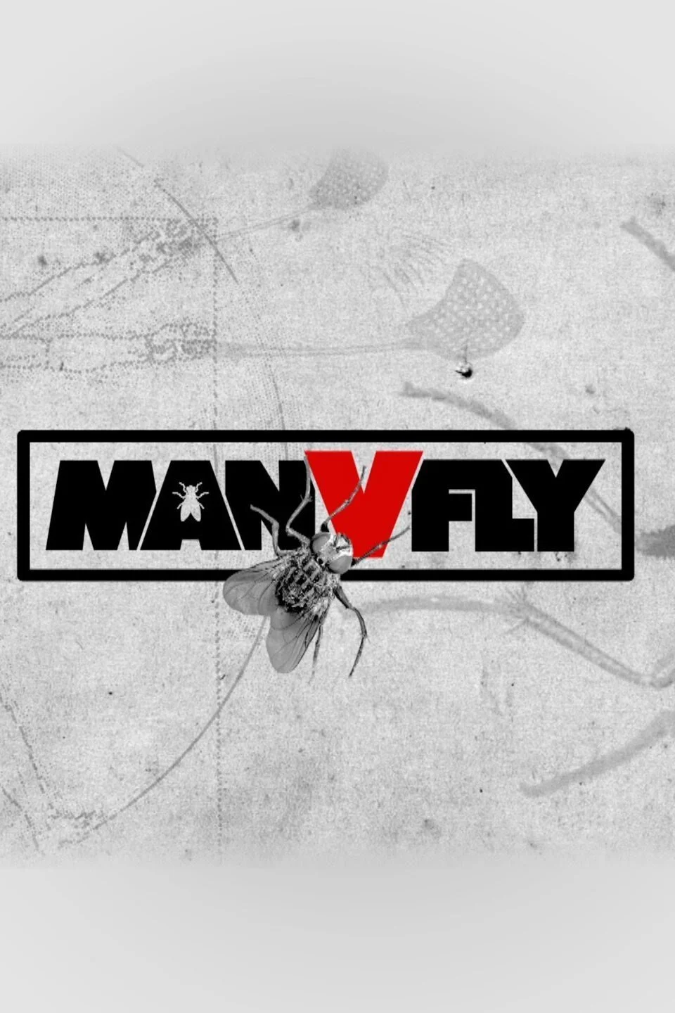 Man v Fly poster