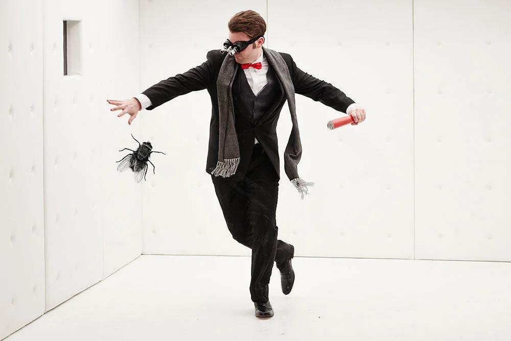 Man v Fly
