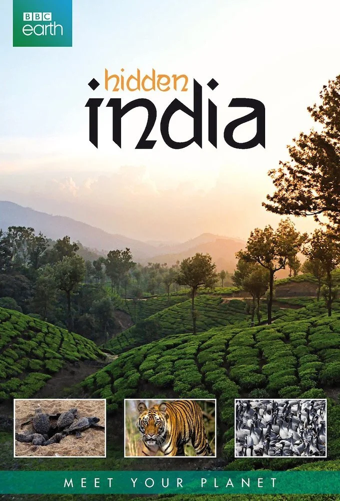 Póster de Hidden India