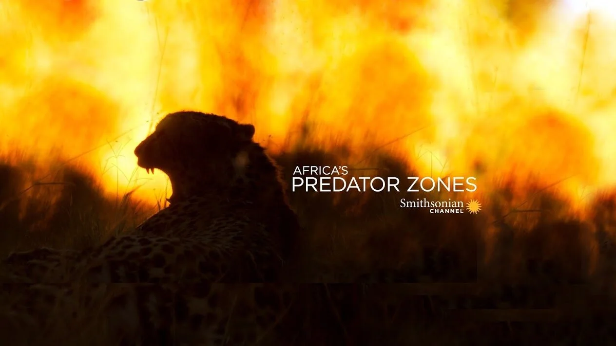Africa's Predator Zones
