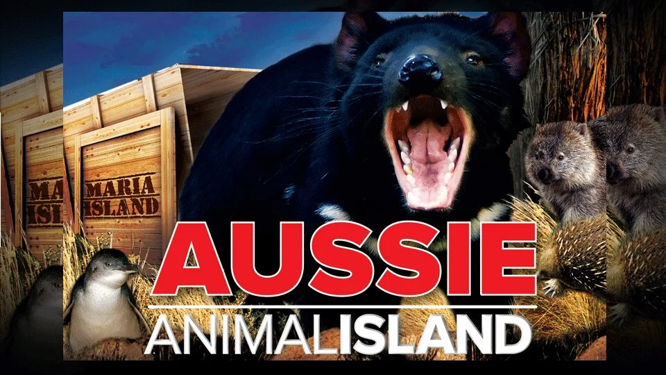Aussie Animal Island
