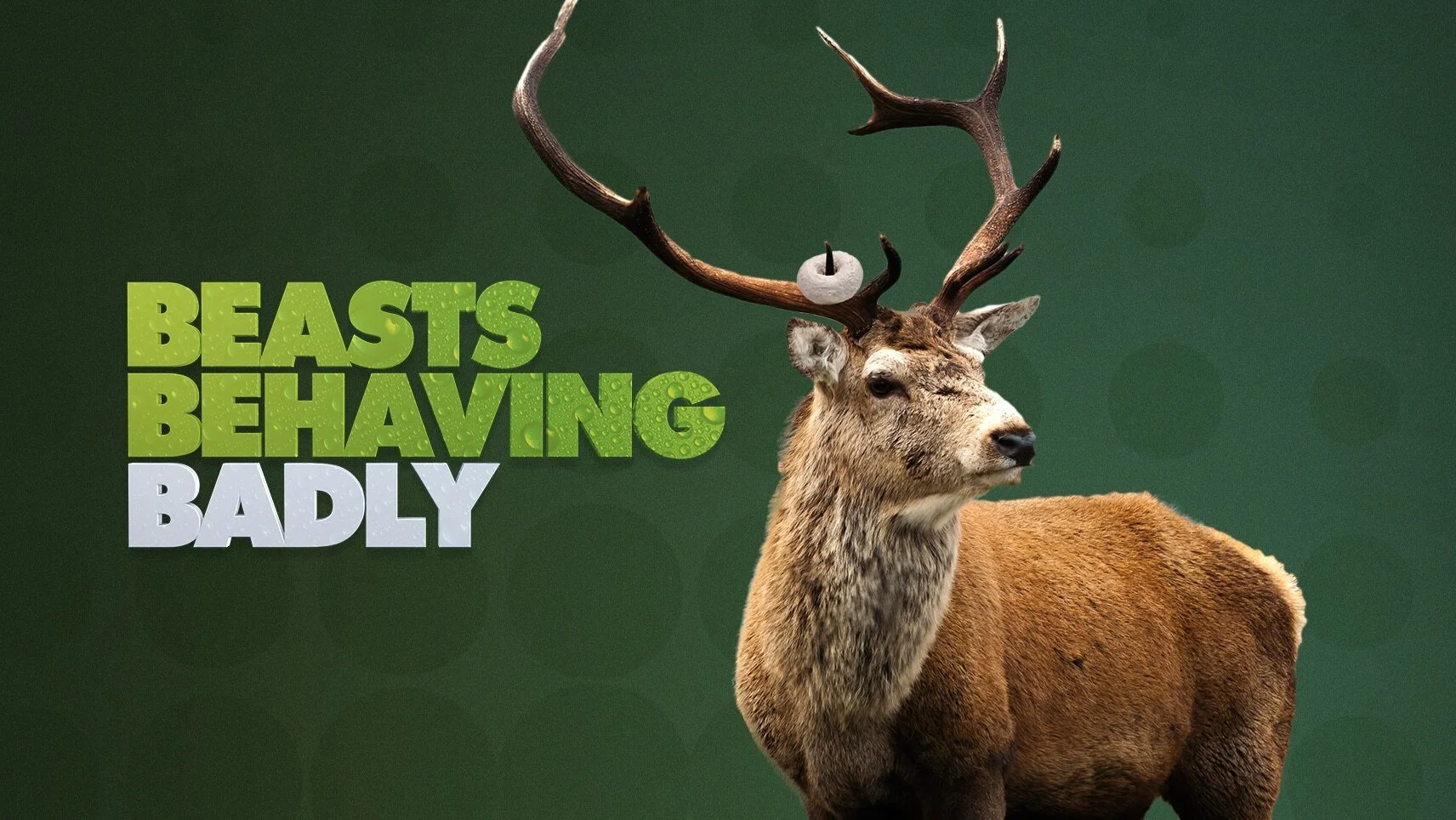 Beasts Behaving Badly