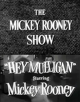 The Mickey Rooney Show