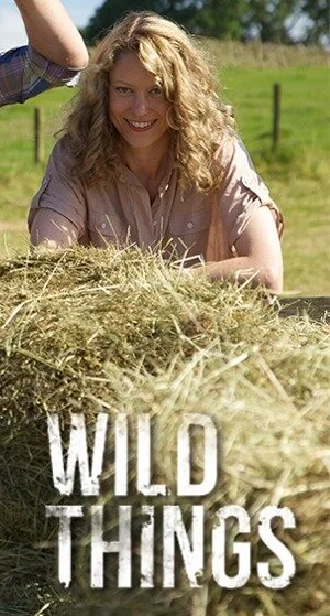 Pôster de Wild Things