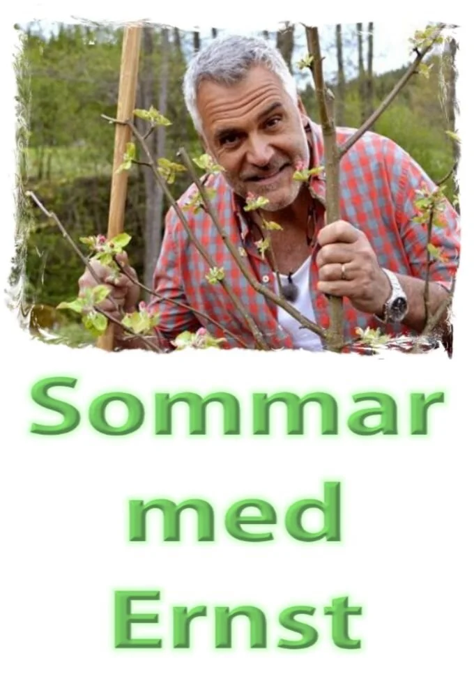 Poster di Sommar med Ernst