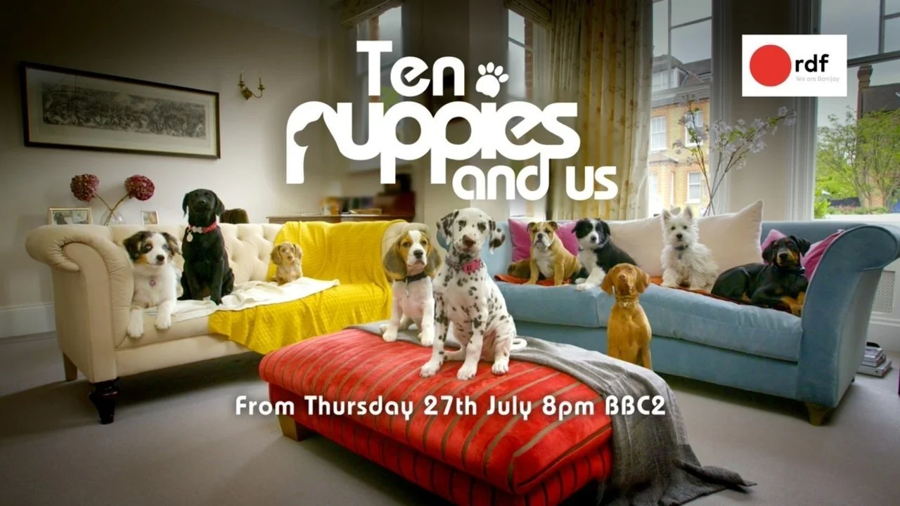 10 Puppies and Us