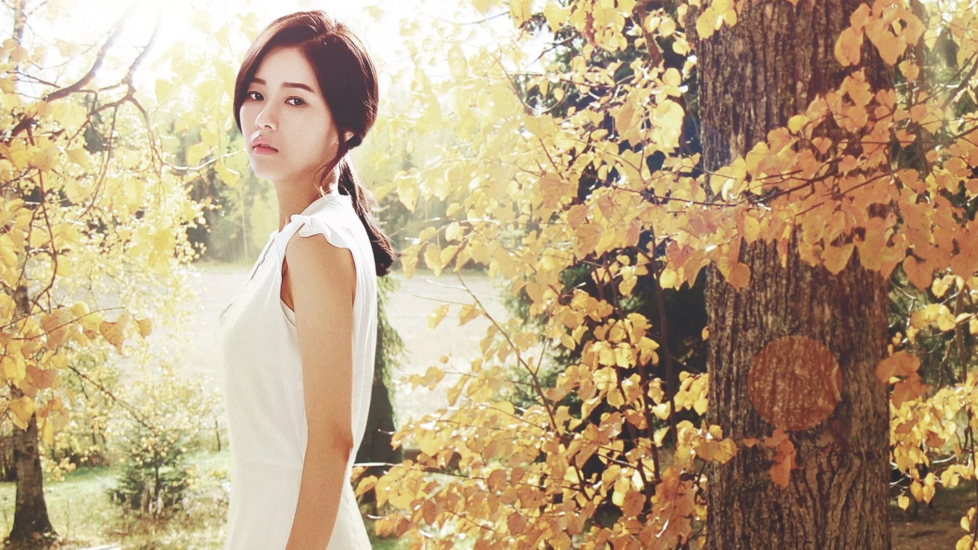 Apgujeong Midnight Sun