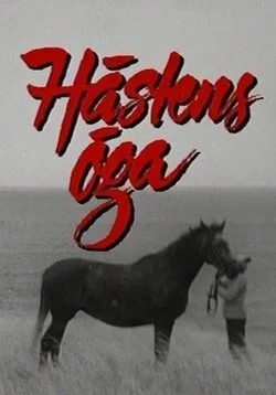 Plakat HÄ‚Â¤stens Ä‚Â¶ga