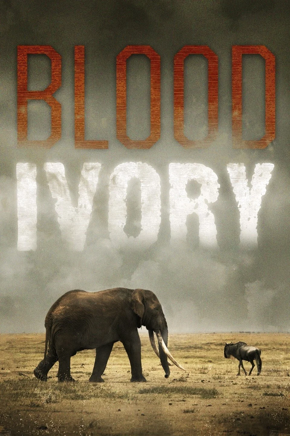 Póster de Blood Ivory