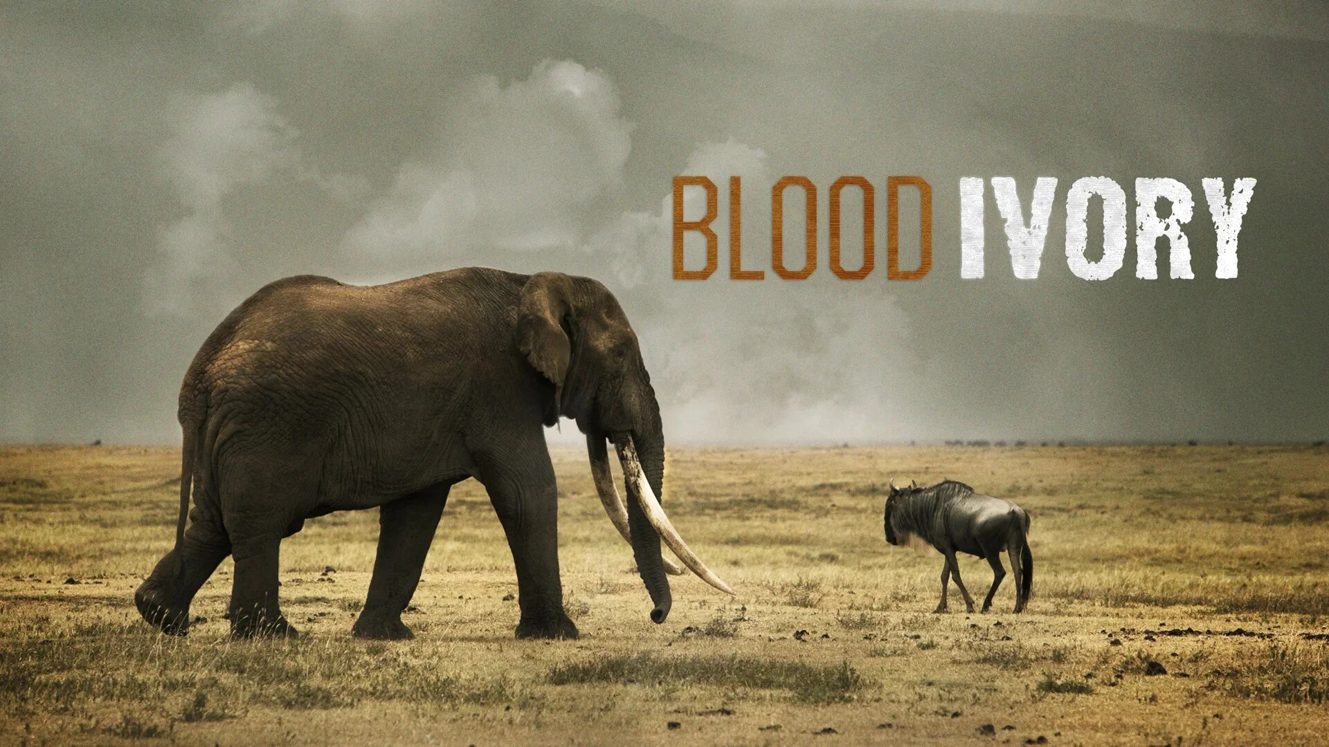 Blood Ivory