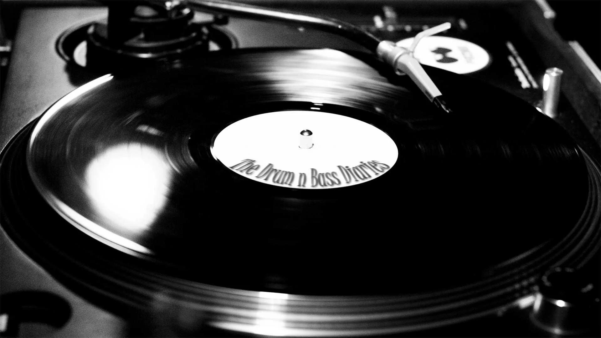 The Drum and Bass Diaries