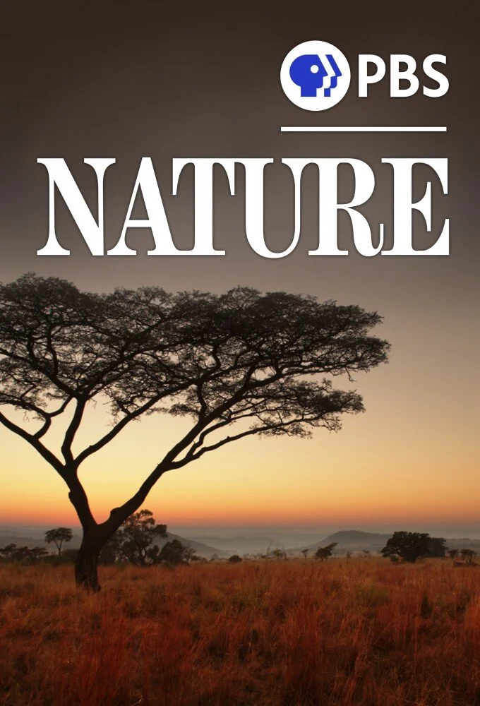 Nature poster