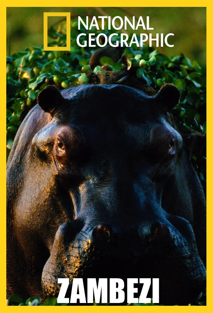 Póster de Río Zambezi