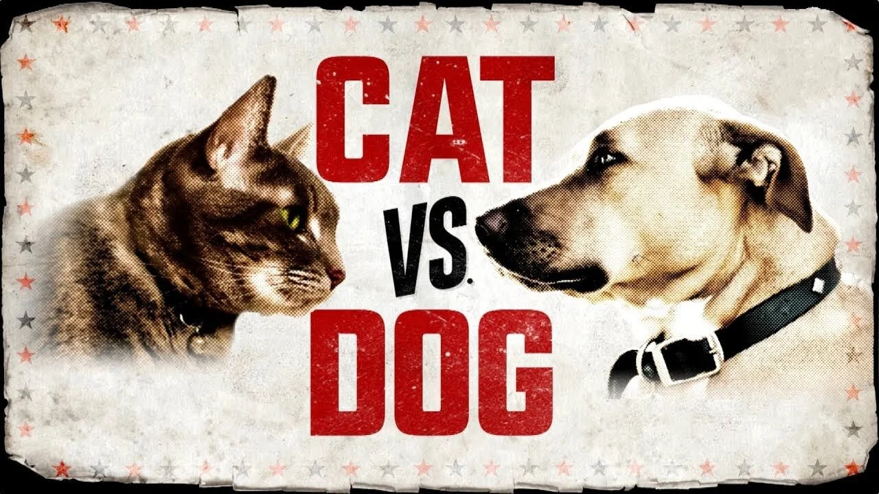 Cat vs. Dog