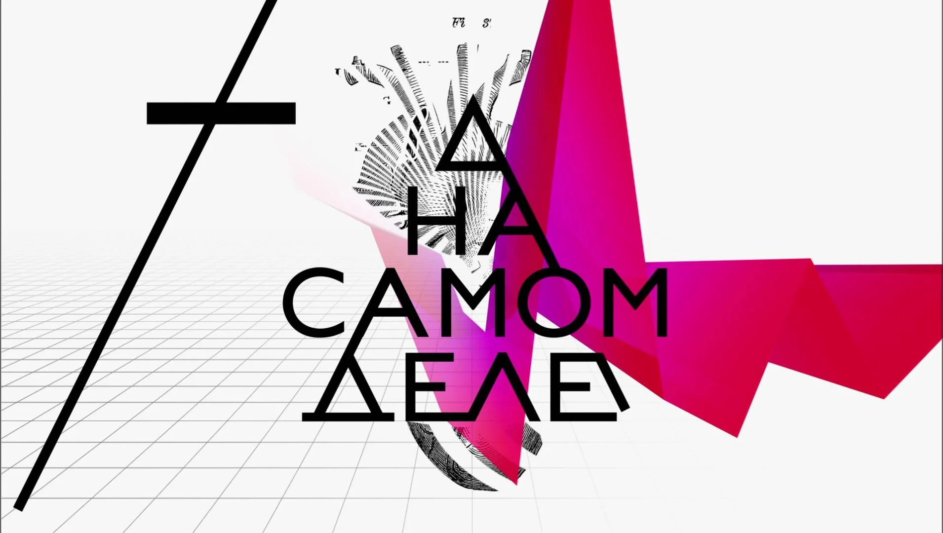 ÄĹĄÄÂ° ĹÂÄÂ°ÄÄ˝ÄÄľÄÄ˝ ÄÂ´ÄÂµÄÂ»ÄÂµ