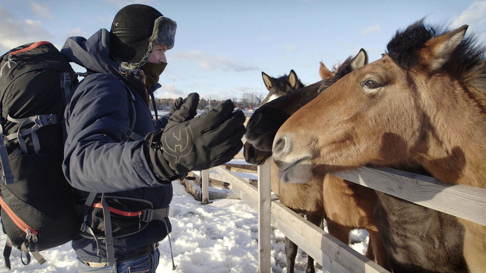 De helden van Arnout