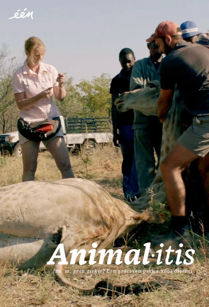 Animalitis poster