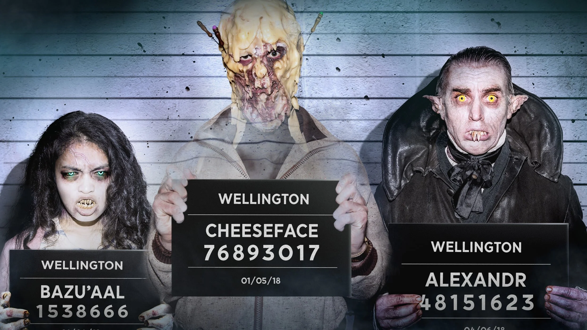 Wellington Paranormal