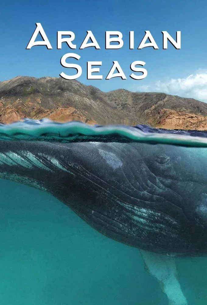 Gallery 2