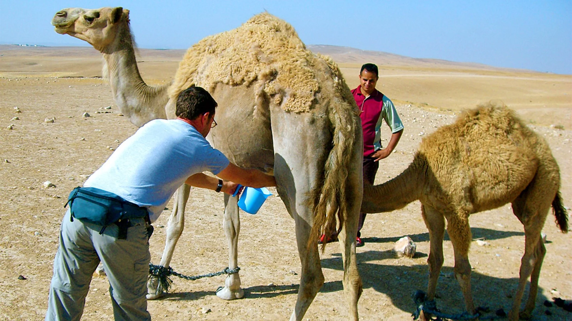 Cooking in the Danger Zone