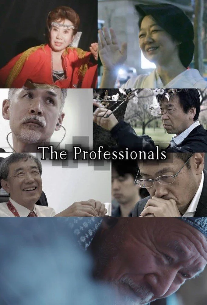 Poster di The Professionals
