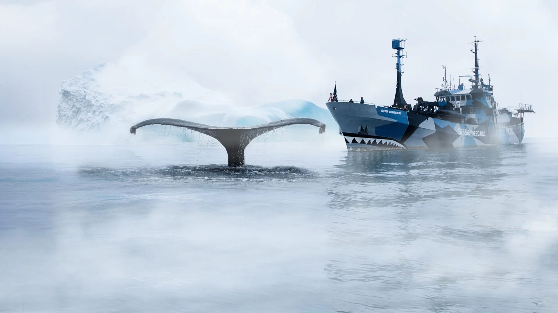 Whale Wars